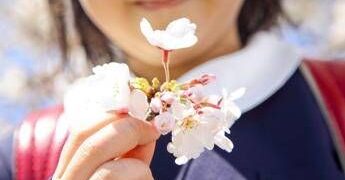 È il primo giorno di primavera, ecco perché l’equinozio cade oggi 20 marzo