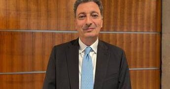 Energia, Vigilante (Gse): “Promuoviamo lo sviluppo dei Ppa”