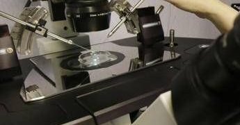 Fecondazione, la salute del padre ha un ruolo anche prima del concepimento