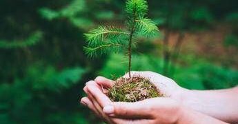 Guerre e crisi economiche fonte di ansia e stress? “La natura restituisce stabilità”. Cos’è la biofilia e cosa promuove