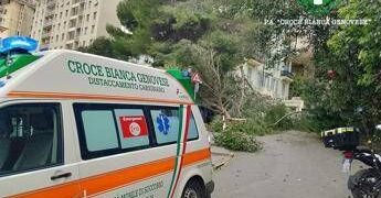 Maltempo sull’Italia, donna ferita da un ramo caduto a Genova. Grandine e pioggia a Roma, traffico in tilt