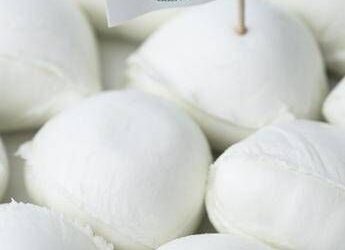 Mozzarella di bufala e jabugo dop, a Barcellona il gemellaggio europeo del gusto