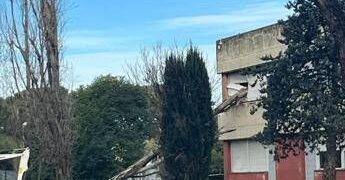 Paura a Roma, cade albero e sfonda finestra del liceo Orazio