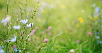 Primavera, i rischi del primo sole, la dermatologa: “Può anche scottare, abituare la pelle in modo progressivo”