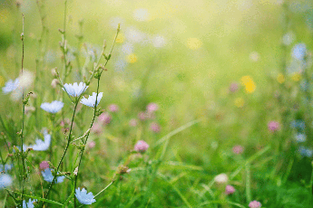 Primavera, i rischi del primo sole, la dermatologa: “Può anche scottare, abituare la pelle in modo progressivo”