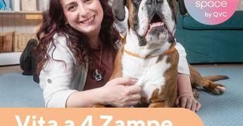 Qvc Italia, debutta nuova categoria per care con uno show su amici a quattro zampe