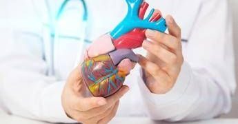 Salute: Cardio hub, al via laboratorio permanente per malattie cardio-cerebrovascolari