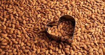 Salute: studio, ‘consumo regolare di mandorle promuove salute del cuore’