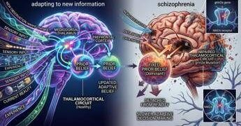 Schizofrenia, svelato il meccanismo biologico che altera la percezione della realtà