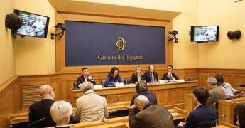 Sostenibilità, Gadda: “Serve fase 2 per rafforzare lotta a spreco alimentare”