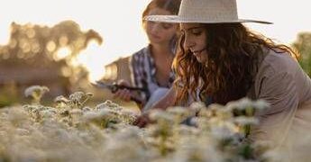 Sostenibilità, torna ‘The Good Farmer Award’: candidature aperte fino al 15 maggio