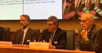 Tumori, oncologo Garufi: “Al San Camillo 1.200 nuovi pazienti l’anno, nutrizione parte della cura”