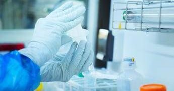 Un avatar in miniatura capace di riprodurre il tumore cerebrale pediatrico