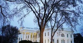 Usa, camion sfonda transenne Casa Bianca: nessun ferito, autista arrestato