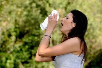 Allergie al polline per 1 italiano su 3, Patella (Siaaic): “In aumento casi e anche gravità per colpa del cambiamento climatico”