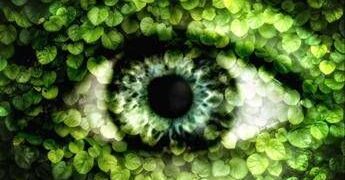 Allergie, non solo pollini nemici degli occhi: l’inquinamento aumenta fino a 9 volte il rischio di congiuntivite