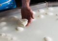 Consorzio di tutela della mozzarella di bufala campana Dop, allarme aumento costi per crisi Iran, possibili rialzi dei listini