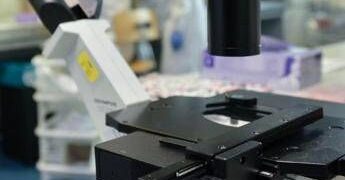 Così i tumori perdono il dono dell’invisibilità, la nuova strategia in una ricerca italiana