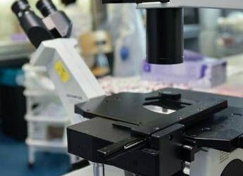 Così i tumori perdono il dono dell’invisibilità, la nuova strategia in una ricerca italiana