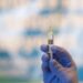 Da vaccini ad antibiotici contro super batteri, intelligenza artificiale rivoluziona la farmaceutica