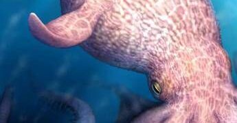 Il Kraken è esistito e dominava gli oceani, la scoperta sul ‘mostro dei mari’