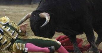 Il toro incorna e uccide il torero, lo choc in Spagna