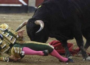 Il toro incorna e uccide il torero, lo choc in Spagna