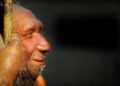 La rivincita dell’uomo di Neanderthal, non fu soppiantato dai Sapiens perché meno intelligente﻿