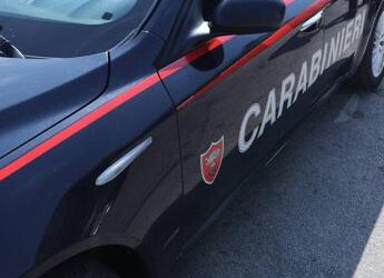 Modena, ucciso a coltellate in androne condominiale: arrestata una 44enne