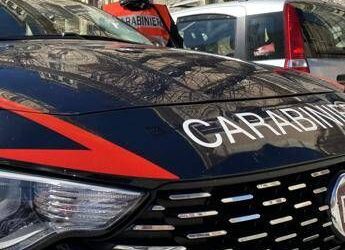 Morto dopo un pestaggio a Pinarella di Cervia: identificati e fermati quattro giovani ﻿