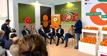 Organizzazioni produttori: nostro ruolo sempre più centrale in mercato globale