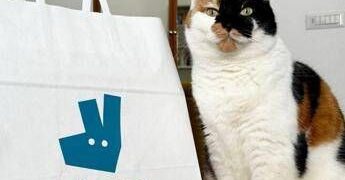 Pet day, su Deliveroo il migliore amico dell’uomo è il gatto, ordini doppi rispetto ai cani
