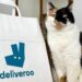 Pet day, su Deliveroo il migliore amico dell’uomo è il gatto, ordini doppi rispetto ai cani