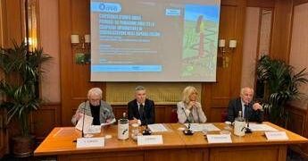 Psoriasi per oltre 1,5 mln italiani, campagna per accesso a diagnosi e terapie