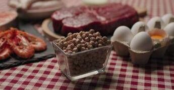 Quando gli alimenti uccidono: ecco la top 5 dei cibi più ‘letali’