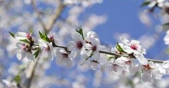 Settimana di primavera, meteo variabile e temperature un po’ in calo: le previsioni