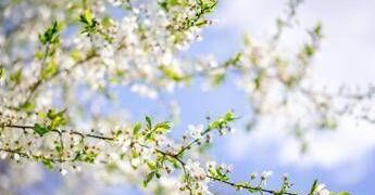 Sole e caldo con picchi estivi, ma non dura: il meteo dei prossimi giorni