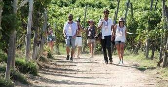 Turismo, UniCredit-Nomisma Wine Monitor: da quello del vino 3 miliardi di valore per cantine