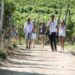 Turismo, UniCredit-Nomisma Wine Monitor: da quello del vino 3 miliardi di valore per cantine