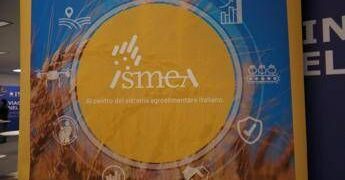 Vinitaly, vino italiano leader: focus su mercati esteri e nuovo bando OCM Promozione