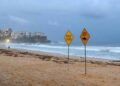 Australia, uomo muore dopo attacco di squalo al largo di Perth