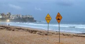 Australia, uomo muore dopo attacco di squalo al largo di Perth
