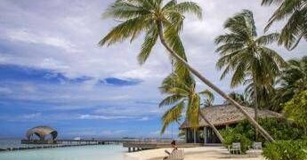 Cinque italiani morti alle Maldive durante un’immersione