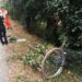 Con bicicletta si schianta contro un albero nel reggiano e viene trovato morto sul ciglio della strada ﻿