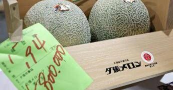 Due meloni venduti a 31mila euro, l’asta choc in Giappone per i frutti ‘d’oro’
