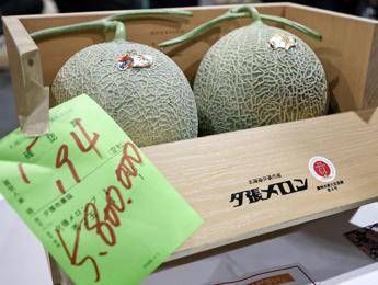 Due meloni venduti a 31mila euro, l’asta choc in Giappone per i frutti ‘d’oro’