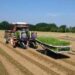 E. Romagna, allarme filiera italiana per accelerazione Commissione Ue su revisione direttiva Ue su prodotti tabacco