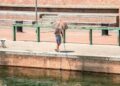 Esplode l’estate, torna il bollettino caldo del ministero della Salute