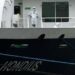 Hantavirus su nave crociera, positivo altro membro dell’equipaggio Mv Hondius. Oms: “Siamo a 12 casi e tre morti”