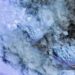 I satelliti svelano immagini straordinarie dell’eruzione che sta creando una nuova isola nel Pacifico